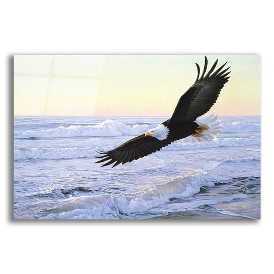 Epic Art 'Ocean Dawn-Eagle' by Ron Parker, Acrylic Glass Wall Art