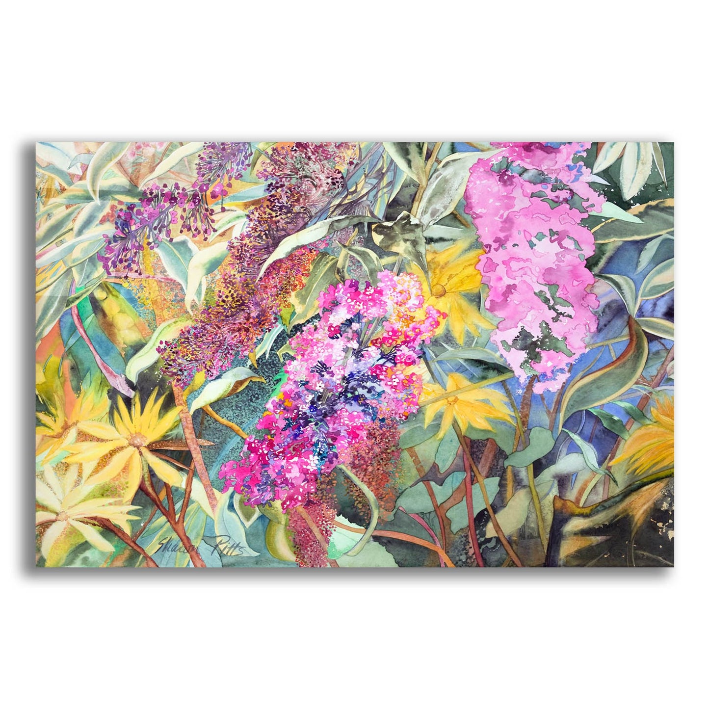 Epic Art 'Allans Garden' by Sharon Pitts, Acrylic Glass Wall Art