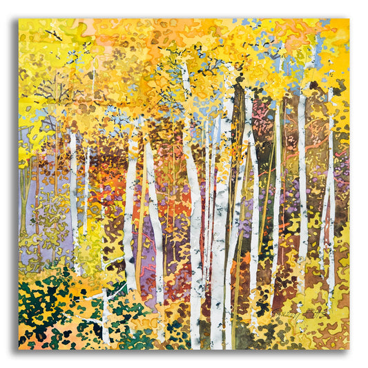 Epic Art 'Autumn Birches III' by Sharon Pitts, Acrylic Glass Wall Art