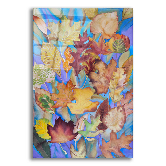 Epic Art 'Autumn Leaves V' by Sharon Pitts, Acrylic Glass Wall Art