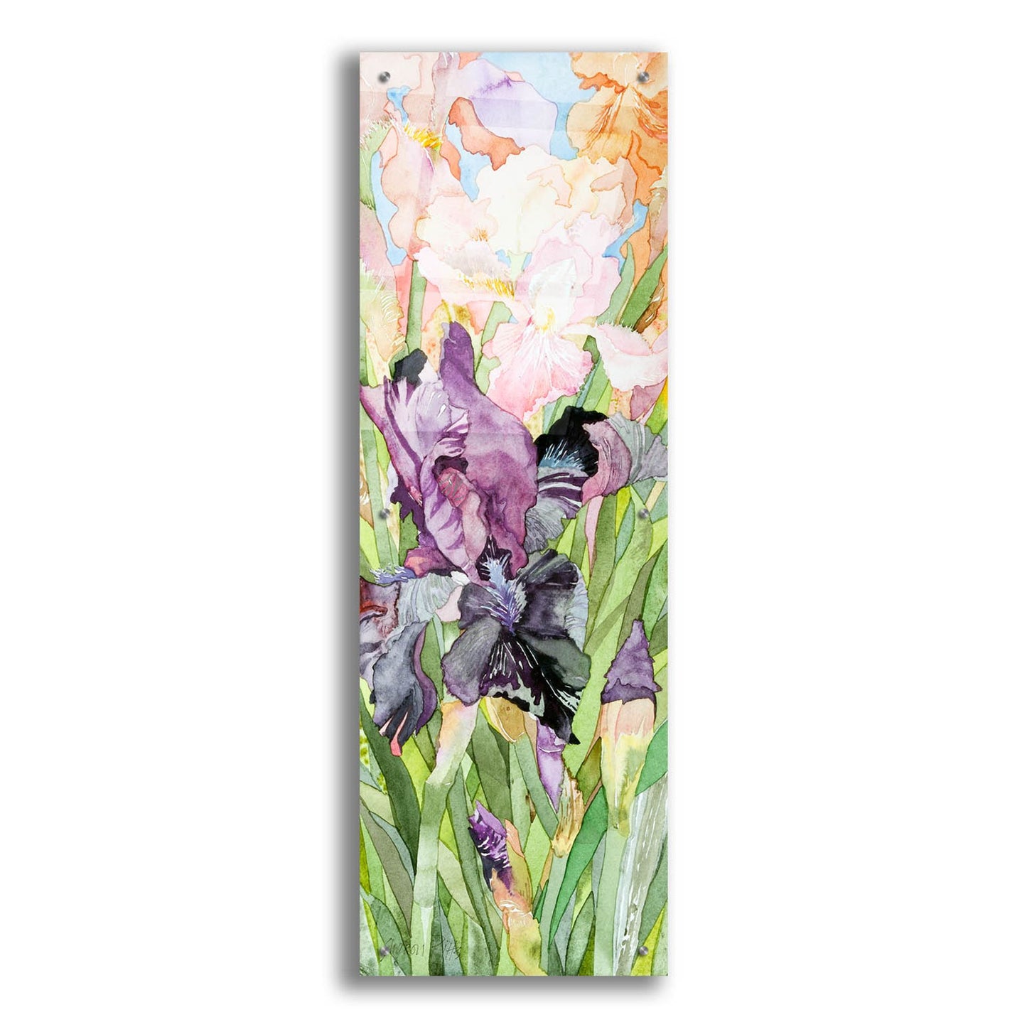 Epic Art 'Black Iris' by Sharon Pitts, Acrylic Glass Wall Art