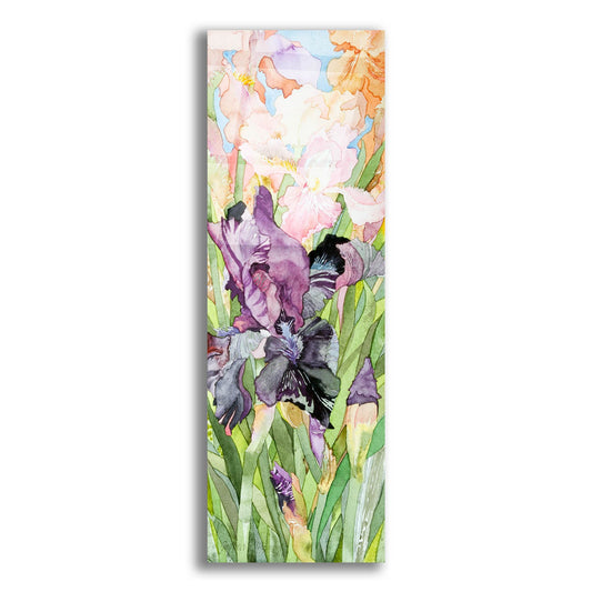 Epic Art 'Black Iris' by Sharon Pitts, Acrylic Glass Wall Art