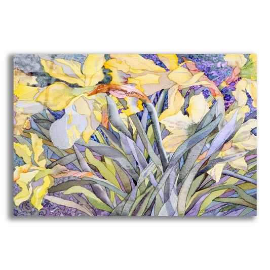 Epic Art 'Daffodils, Van Vleck' by Sharon Pitts, Acrylic Glass Wall Art