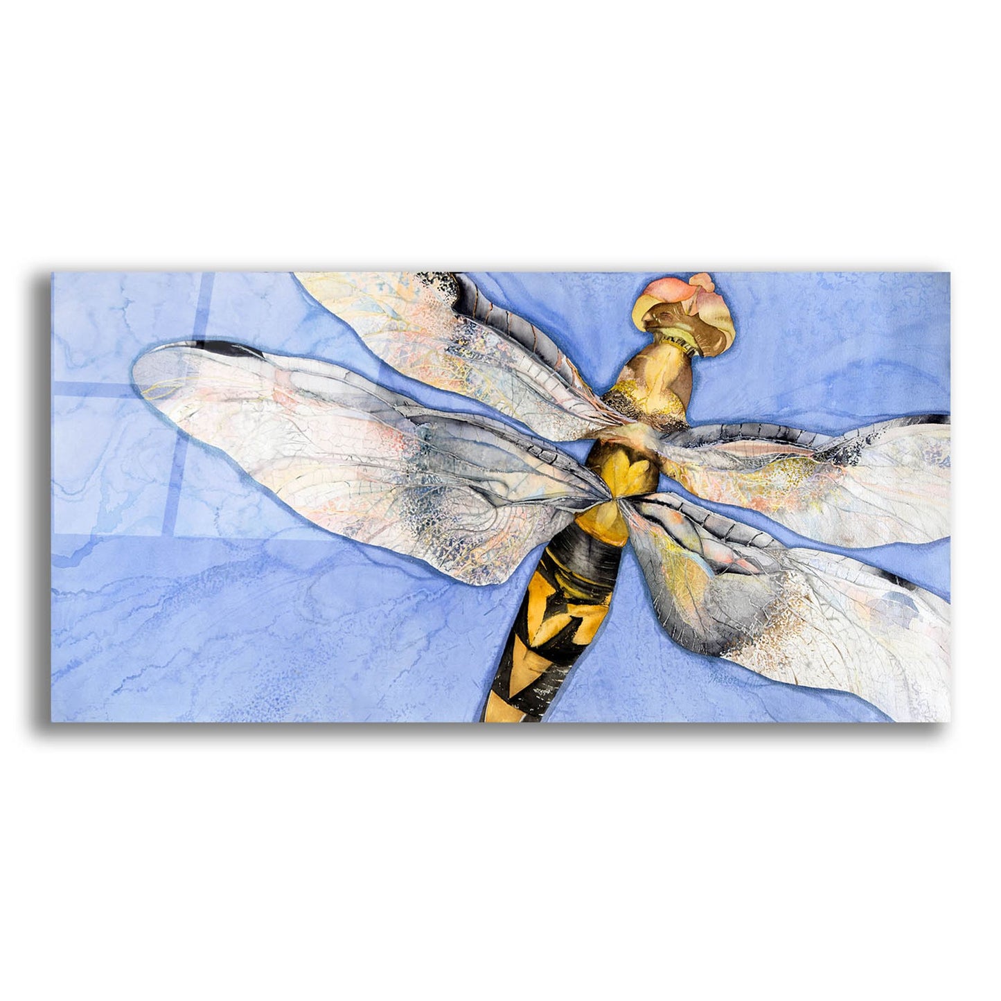 Epic Art 'Dragonfly' by Sharon Pitts, Acrylic Glass Wall Art