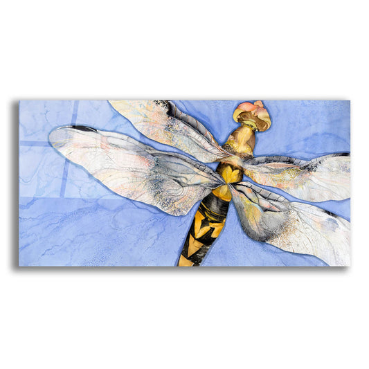 Epic Art 'Dragonfly' by Sharon Pitts, Acrylic Glass Wall Art