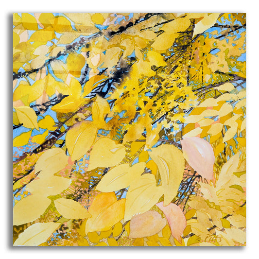 Epic Art 'Golden Leaves' by Sharon Pitts, Acrylic Glass Wall Art