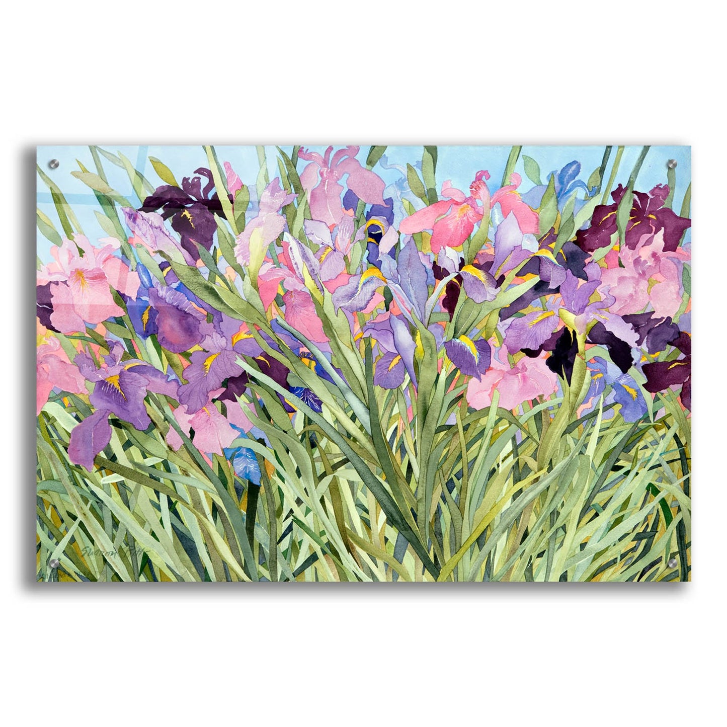 Epic Art 'Iris Garden X' by Sharon Pitts, Acrylic Glass Wall Art