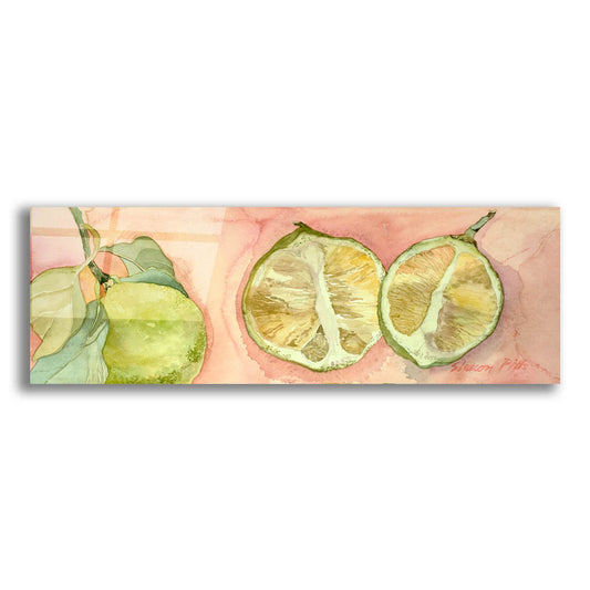Epic Art 'Limes In Sicily' by Sharon Pitts, Acrylic Glass Wall Art