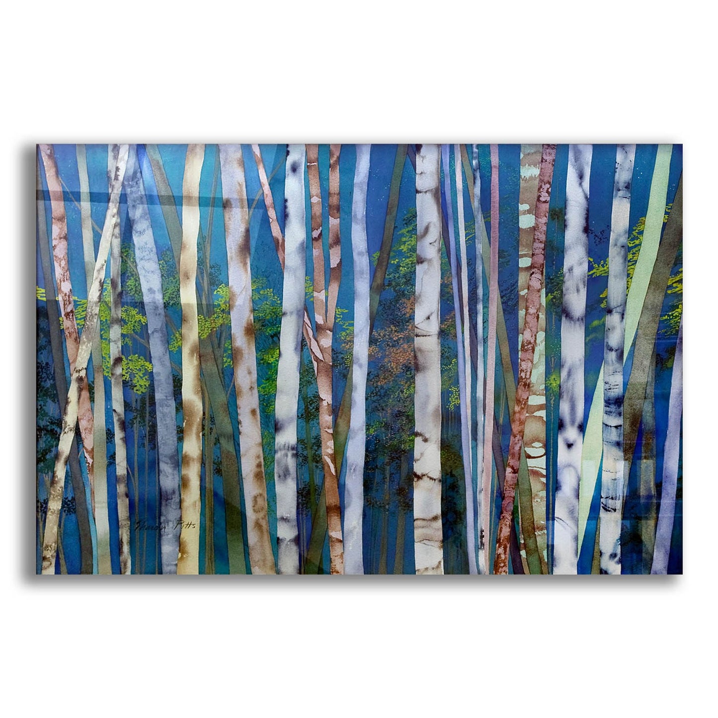 Epic Art 'Mystery Of Trees-Birches' by Sharon Pitts, Acrylic Glass Wall Art