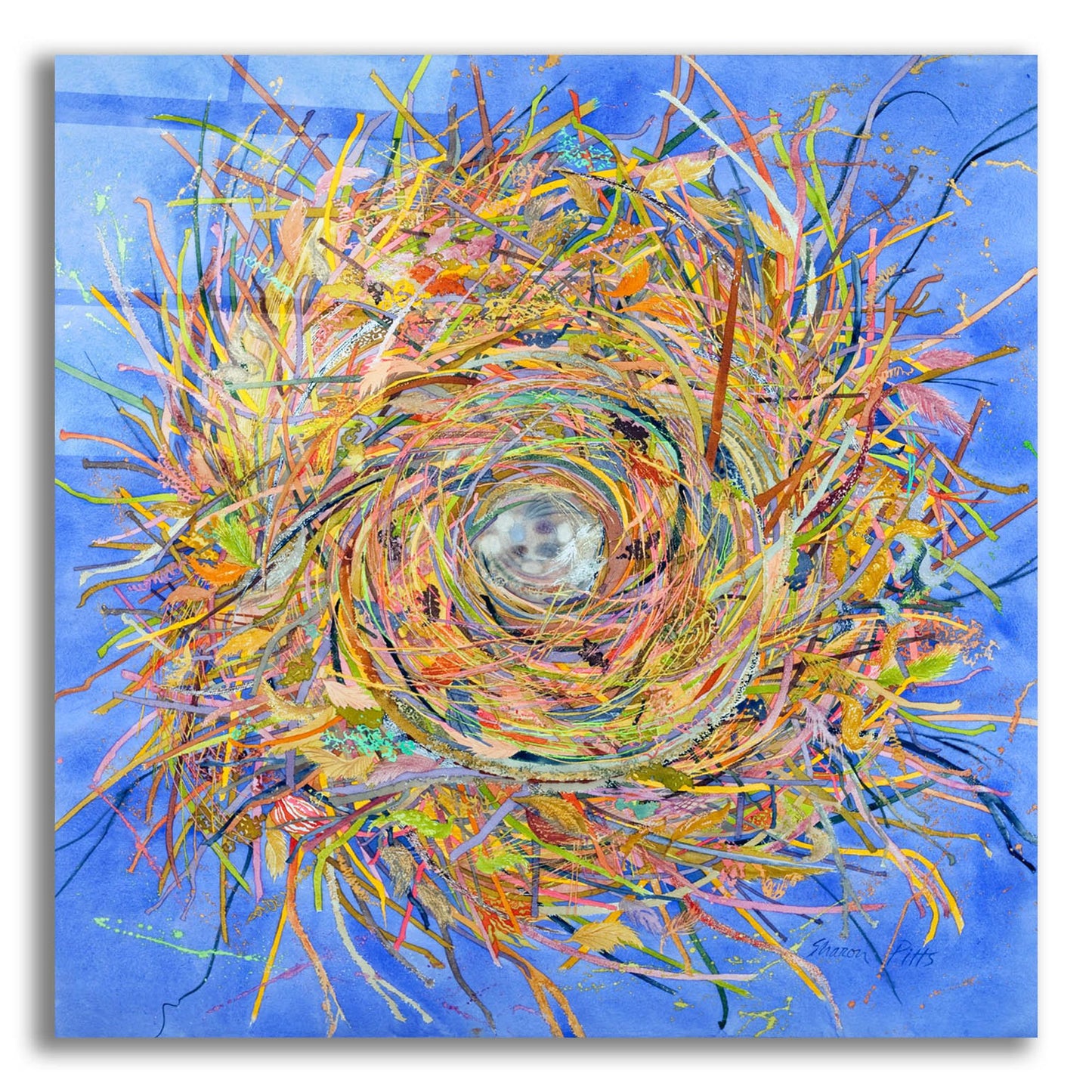 Epic Art 'Nest III-Vortex' by Sharon Pitts, Acrylic Glass Wall Art