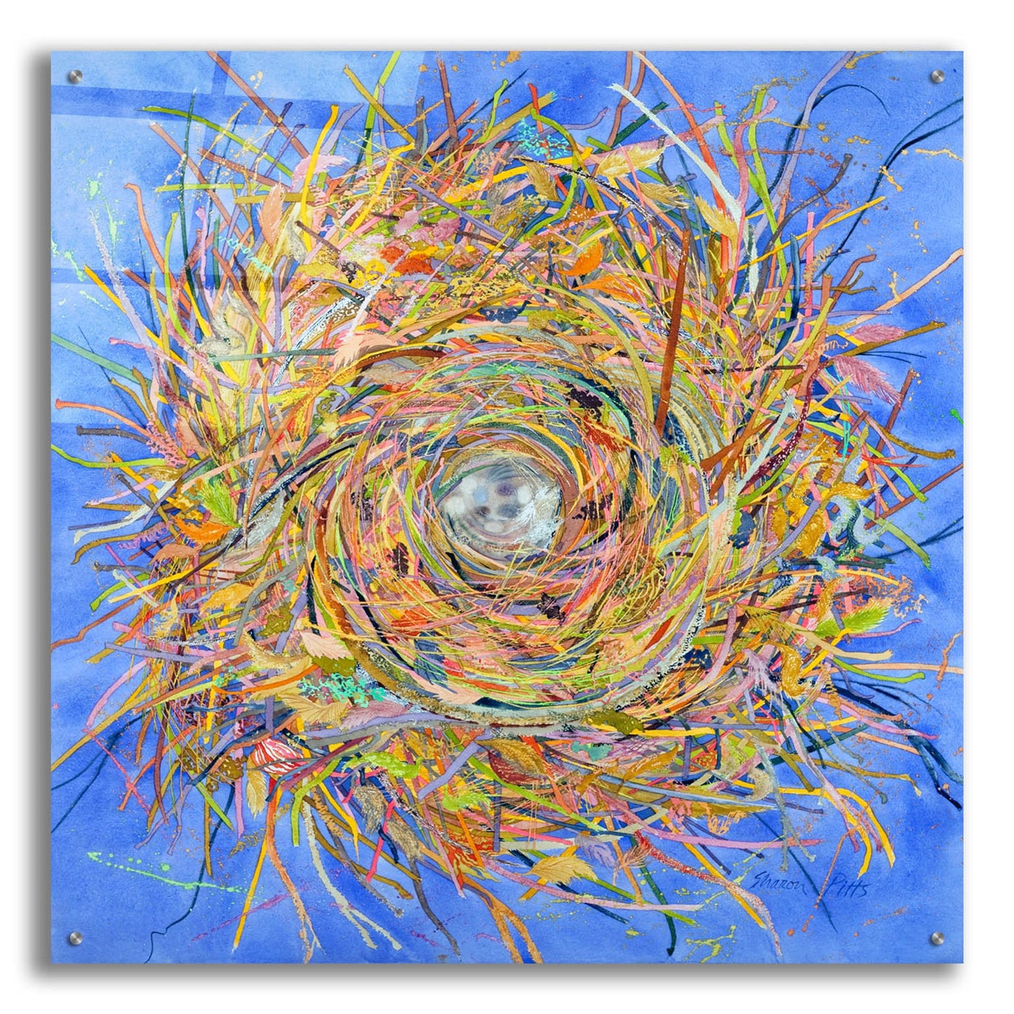 Epic Art 'Nest III-Vortex' by Sharon Pitts, Acrylic Glass Wall Art