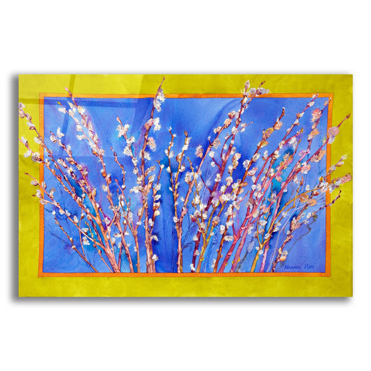 Epic Art 'Pussy Willows' by Sharon Pitts, Acrylic Glass Wall Art