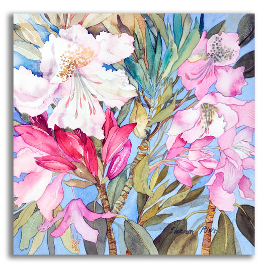 Epic Art 'Rhododendron I' by Sharon Pitts, Acrylic Glass Wall Art