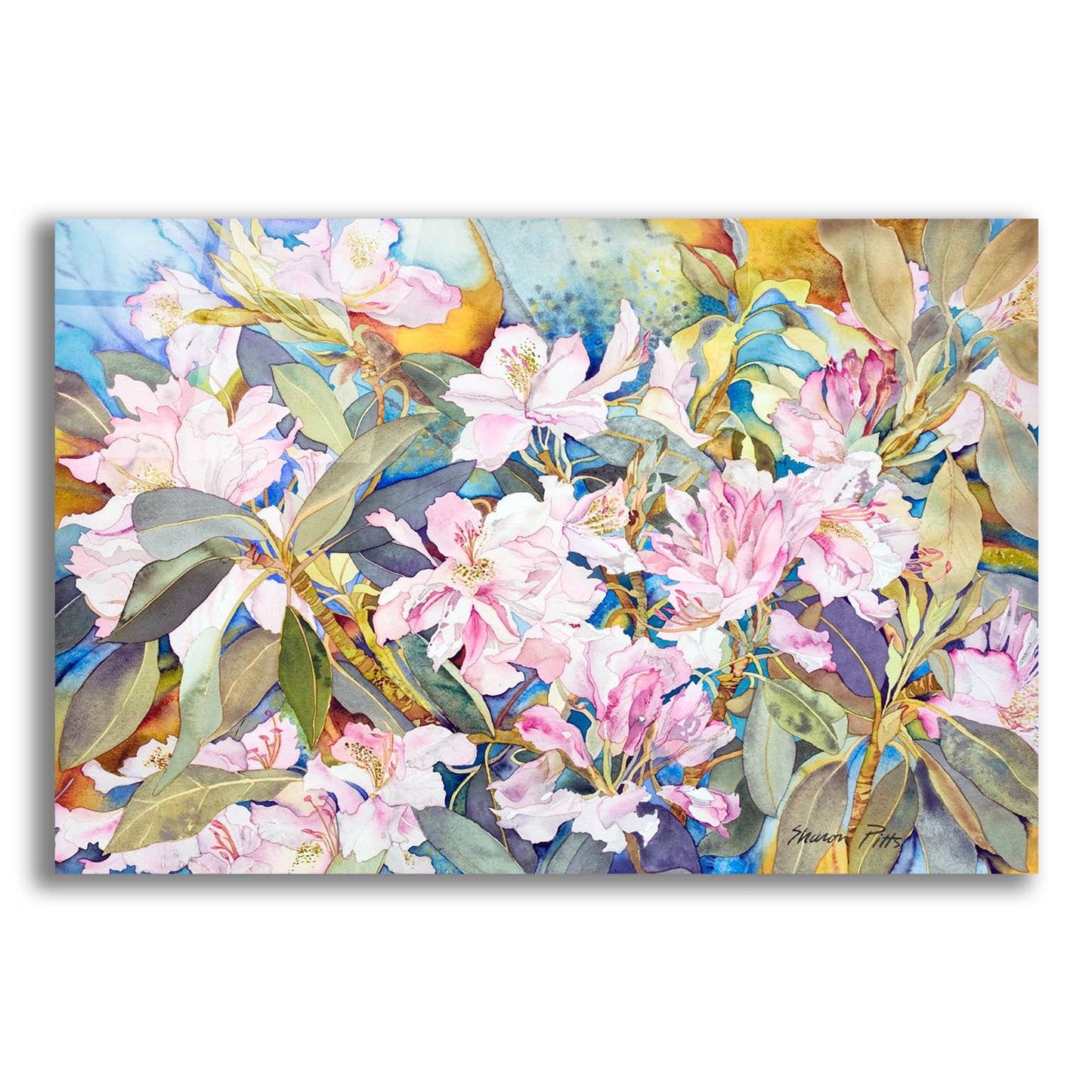 Epic Art 'Rhododendrons' by Sharon Pitts, Acrylic Glass Wall Art