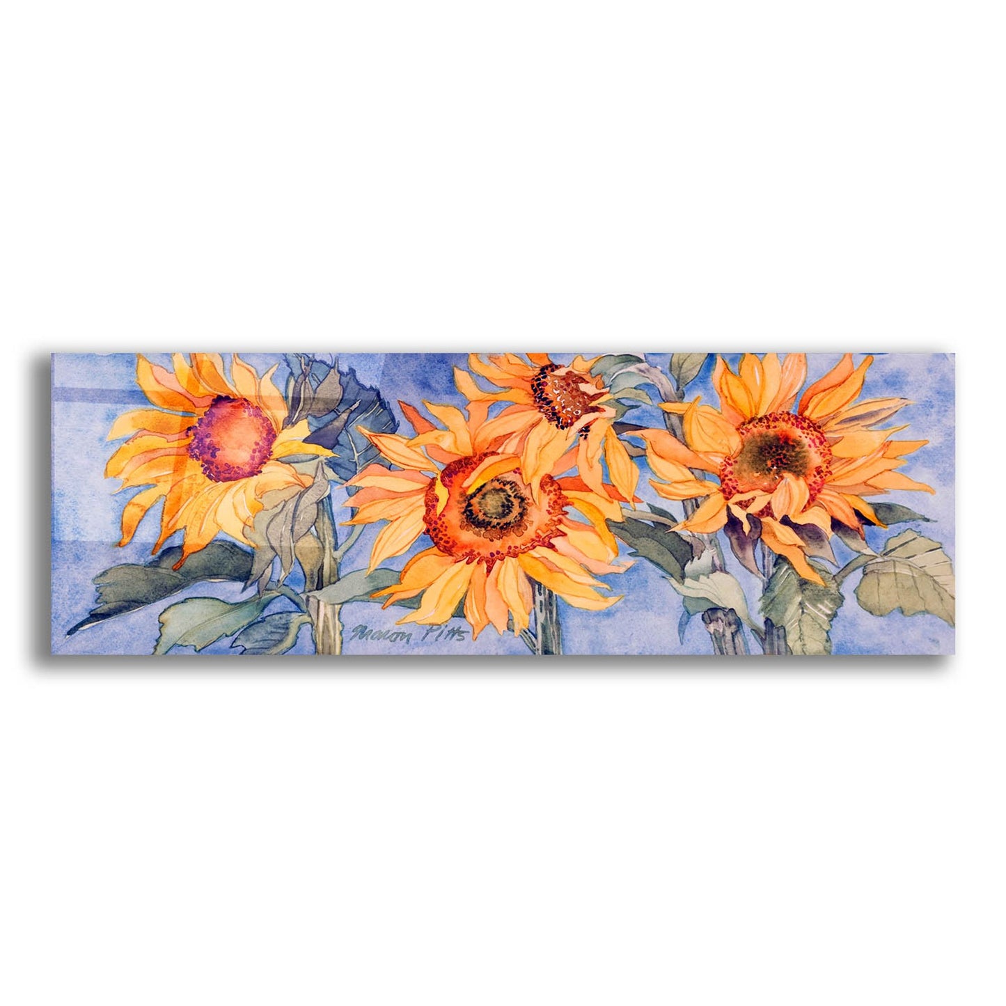 Epic Art 'Sunflowers VI' by Sharon Pitts, Acrylic Glass Wall Art