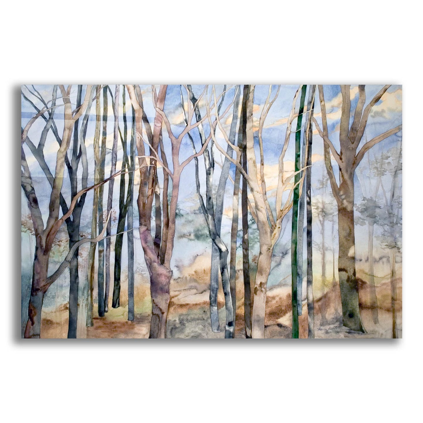 Epic Art 'Through The Trees' by Sharon Pitts, Acrylic Glass Wall Art