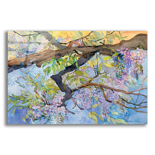 Epic Art 'Wisteria, Van Vleck' by Sharon Pitts, Acrylic Glass Wall Art