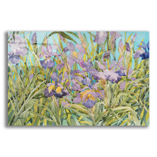 Epic Art 'Japanese Irises 3' by Sharon Pitts, Acrylic Glass Wall Art