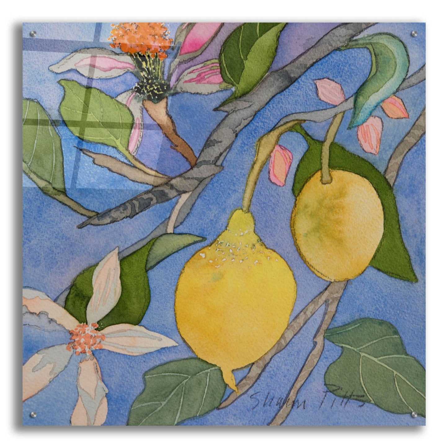 Epic Art 'Lemon Tree Italy 2' by Sharon Pitts, Acrylic Glass Wall Art