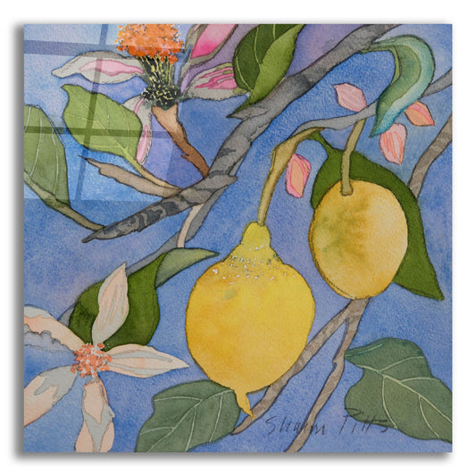 Epic Art 'Lemon Tree Italy 2' by Sharon Pitts, Acrylic Glass Wall Art