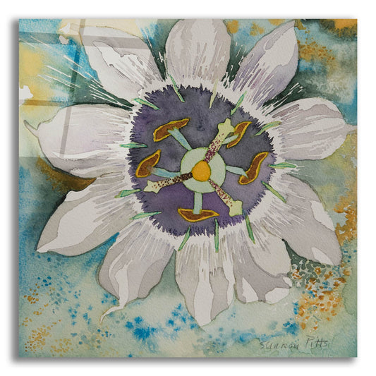 Epic Art 'Passion Flower' by Sharon Pitts, Acrylic Glass Wall Art