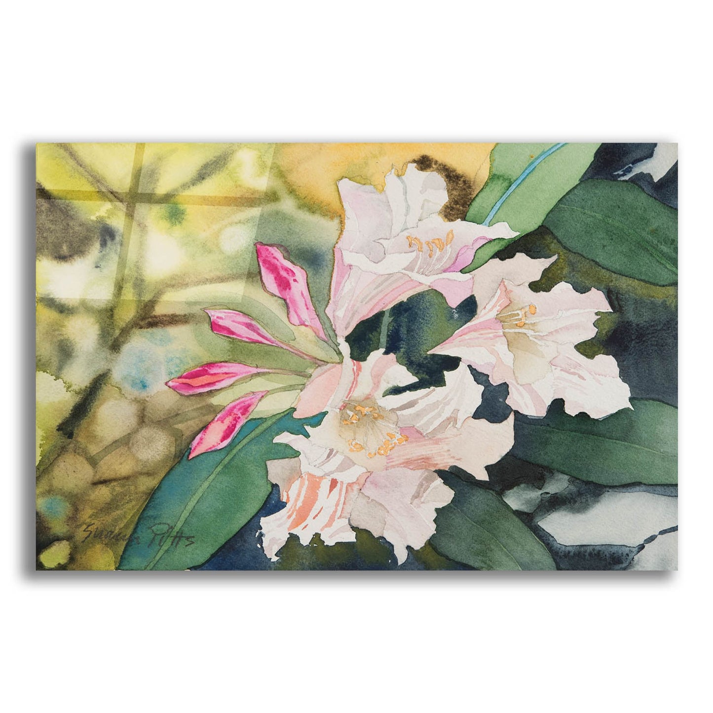 Epic Art 'Rhododendron 3' by Sharon Pitts, Acrylic Glass Wall Art