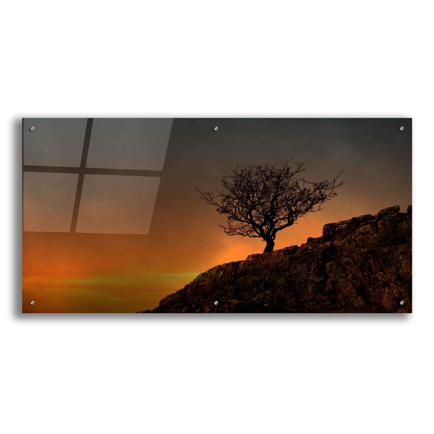 Epic Art 'Lone Tree in Sunset' by Tom Quartermaine, Acrylic Glass Wall Art