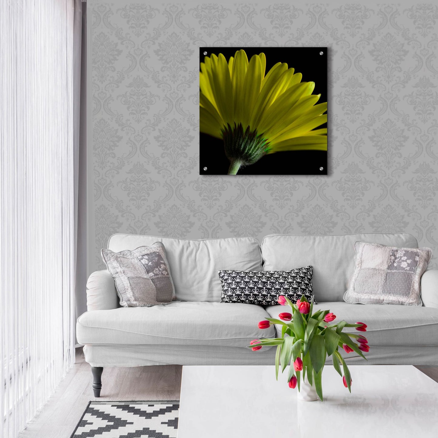 Epic Art 'Mustard Gerbera on Black' by Tom Quartermaine, Acrylic Glass Wall Art,24x24