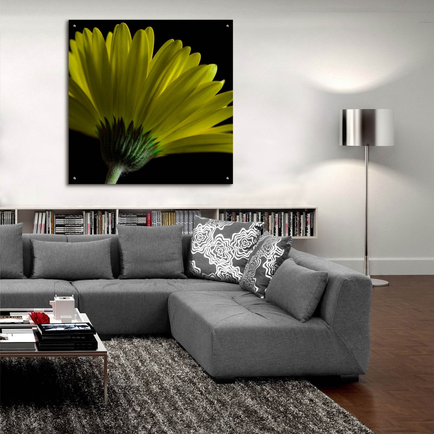 Epic Art 'Mustard Gerbera on Black' by Tom Quartermaine, Acrylic Glass Wall Art,36x36