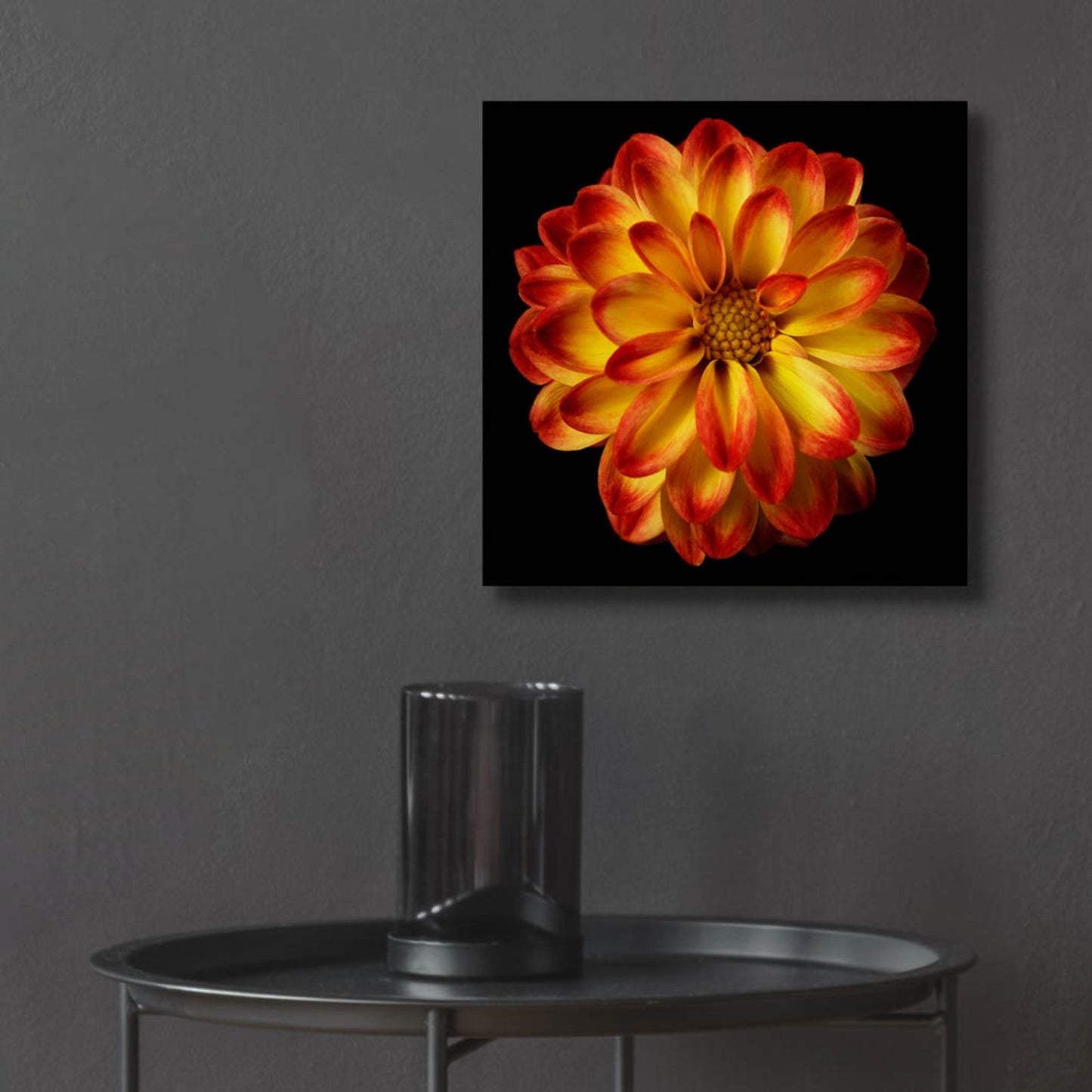 Epic Art 'Orange Dahlia on Black 01' by Tom Quartermaine, Acrylic Glass Wall Art,12x12