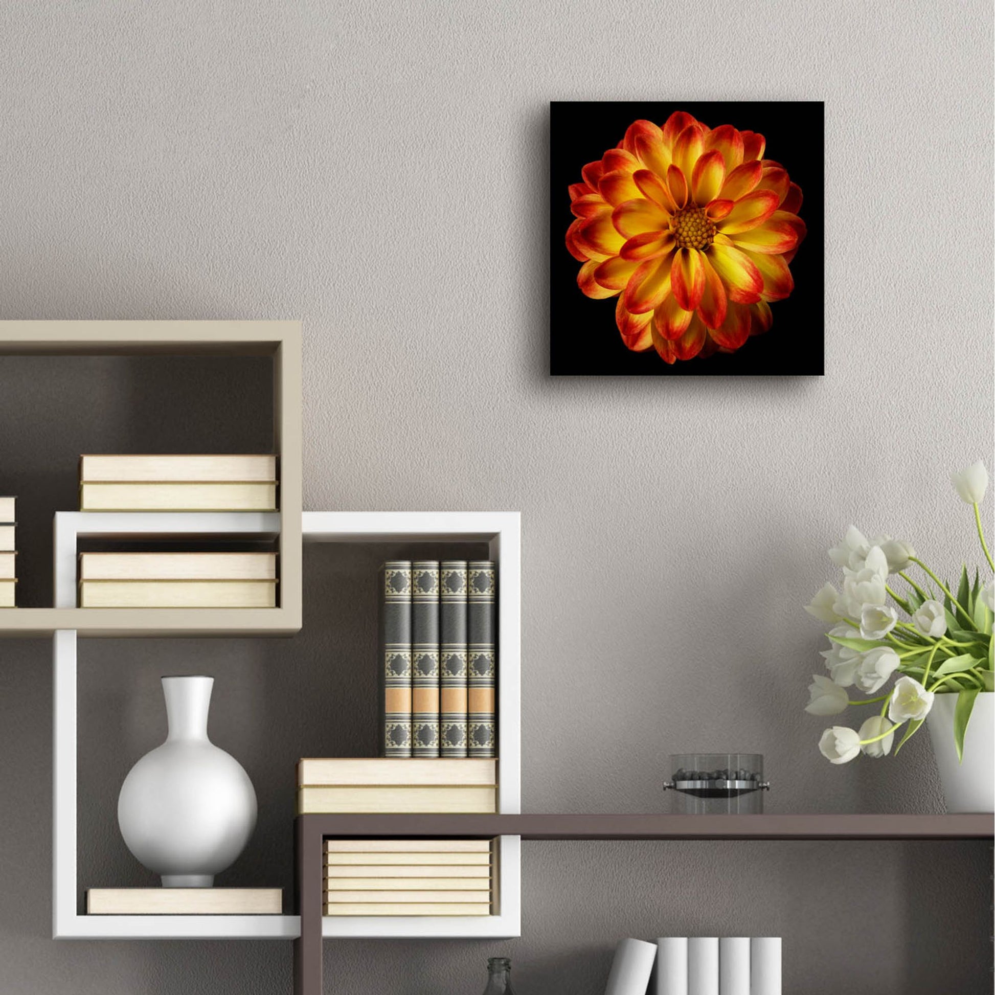 Epic Art 'Orange Dahlia on Black 01' by Tom Quartermaine, Acrylic Glass Wall Art,12x12