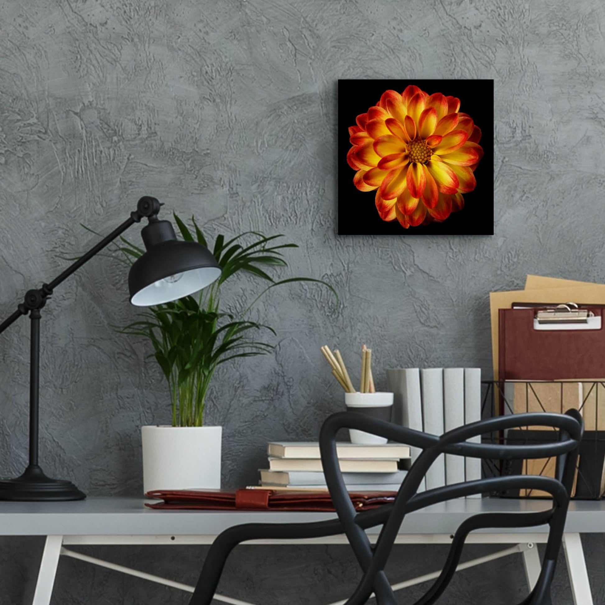 Epic Art 'Orange Dahlia on Black 01' by Tom Quartermaine, Acrylic Glass Wall Art,12x12