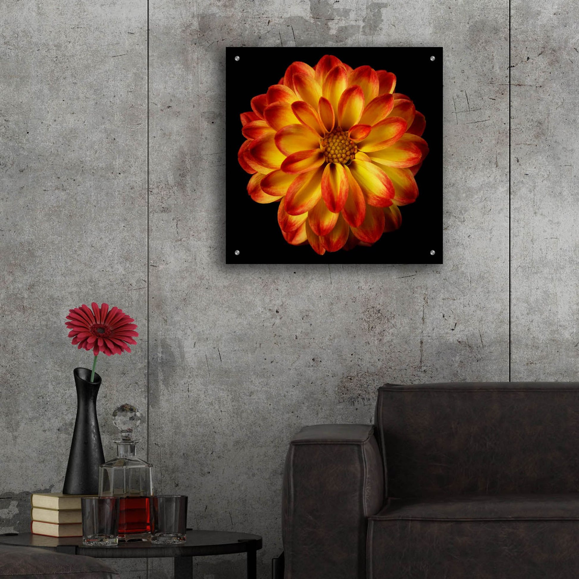 Epic Art 'Orange Dahlia on Black 01' by Tom Quartermaine, Acrylic Glass Wall Art,24x24