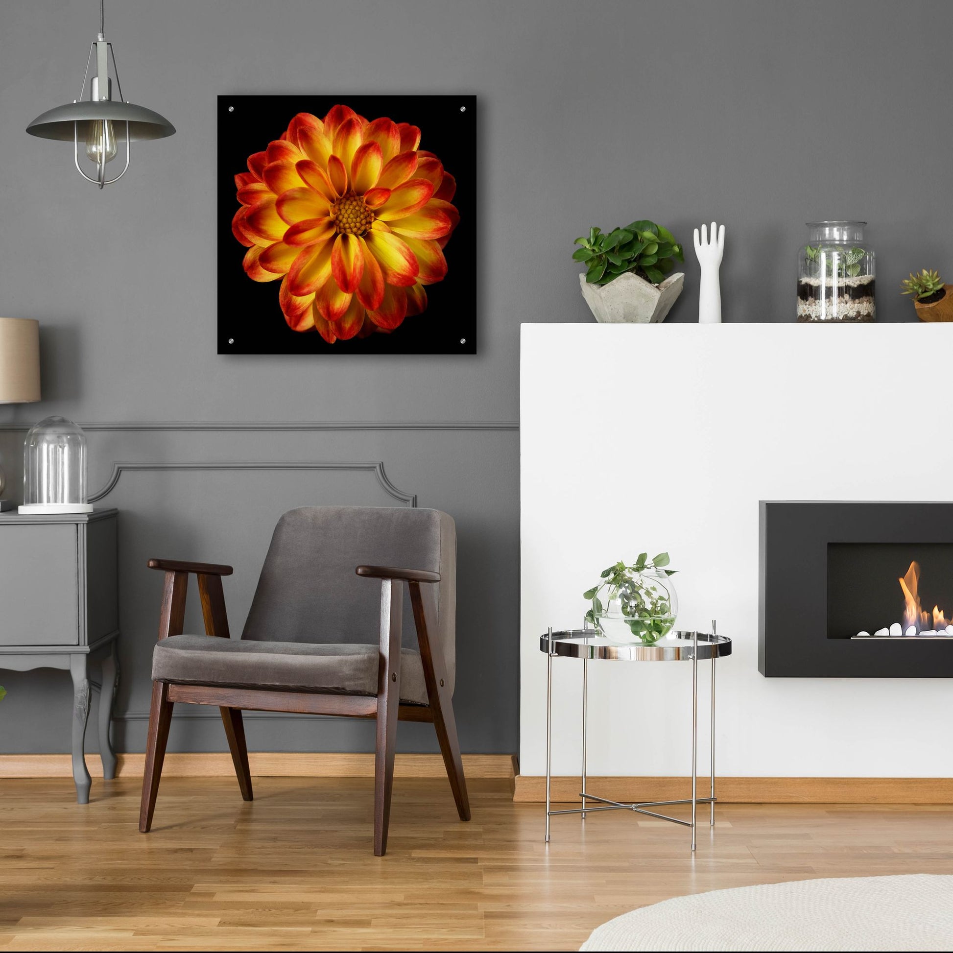 Epic Art 'Orange Dahlia on Black 01' by Tom Quartermaine, Acrylic Glass Wall Art,24x24