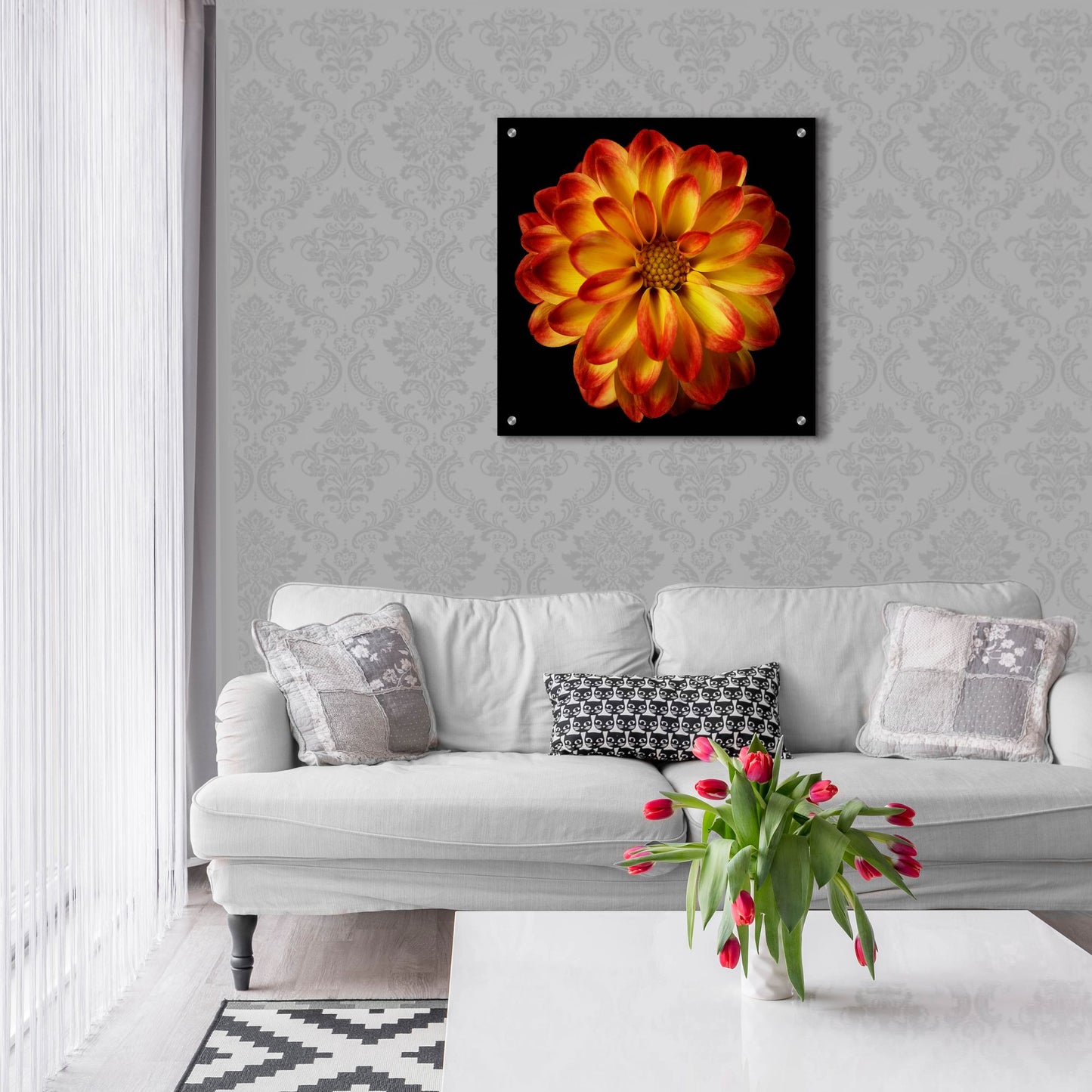 Epic Art 'Orange Dahlia on Black 01' by Tom Quartermaine, Acrylic Glass Wall Art,24x24