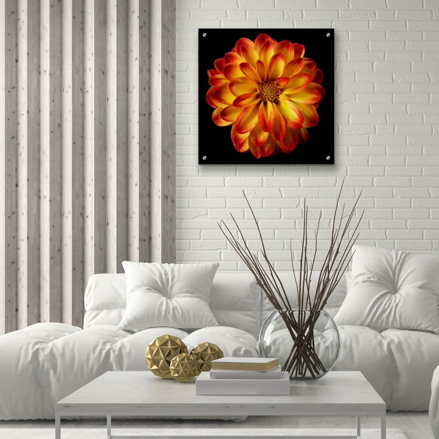 Epic Art 'Orange Dahlia on Black 01' by Tom Quartermaine, Acrylic Glass Wall Art,24x24