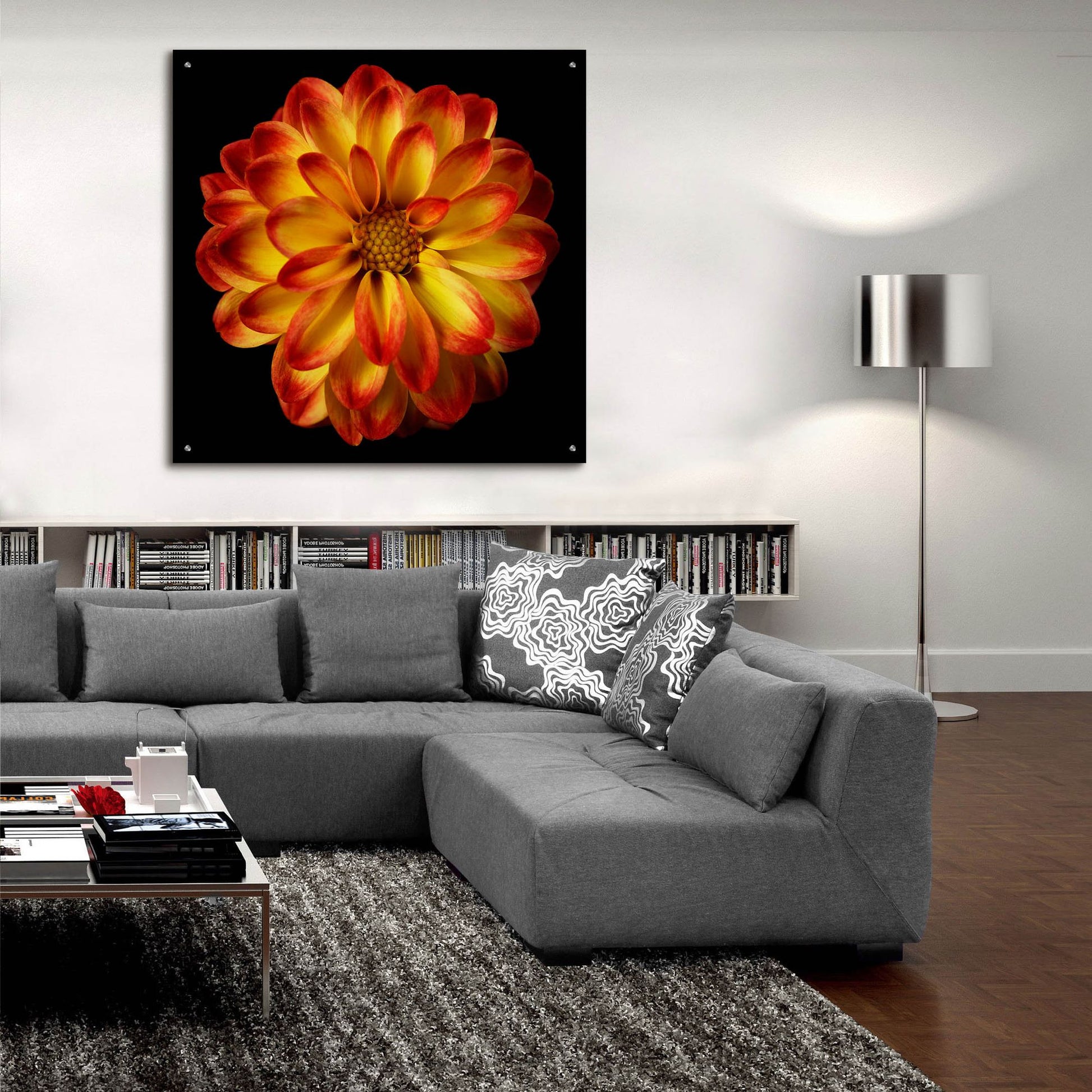 Epic Art 'Orange Dahlia on Black 01' by Tom Quartermaine, Acrylic Glass Wall Art,36x36