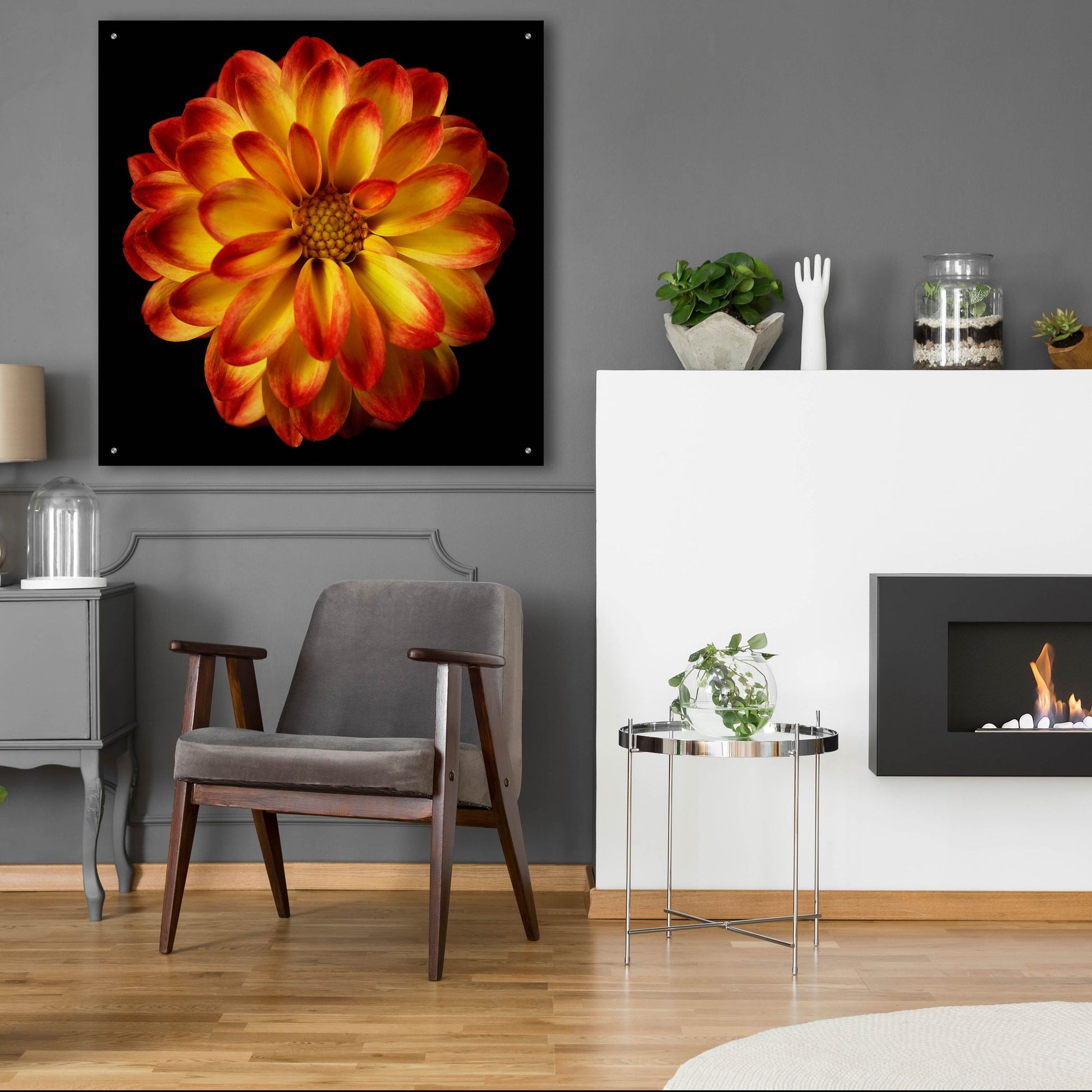 Epic Art 'Orange Dahlia on Black 01' by Tom Quartermaine, Acrylic Glass Wall Art,36x36