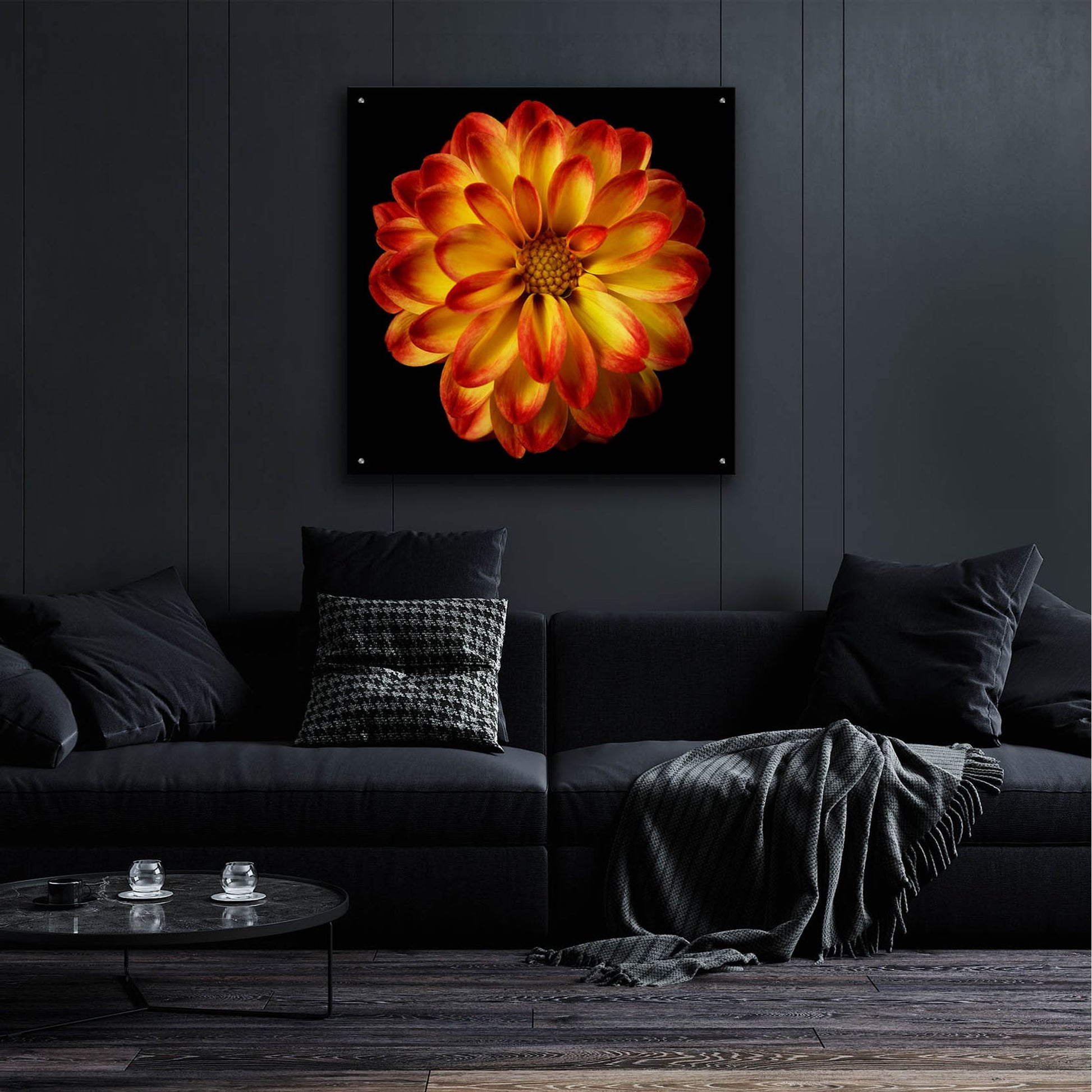 Epic Art 'Orange Dahlia on Black 01' by Tom Quartermaine, Acrylic Glass Wall Art,36x36