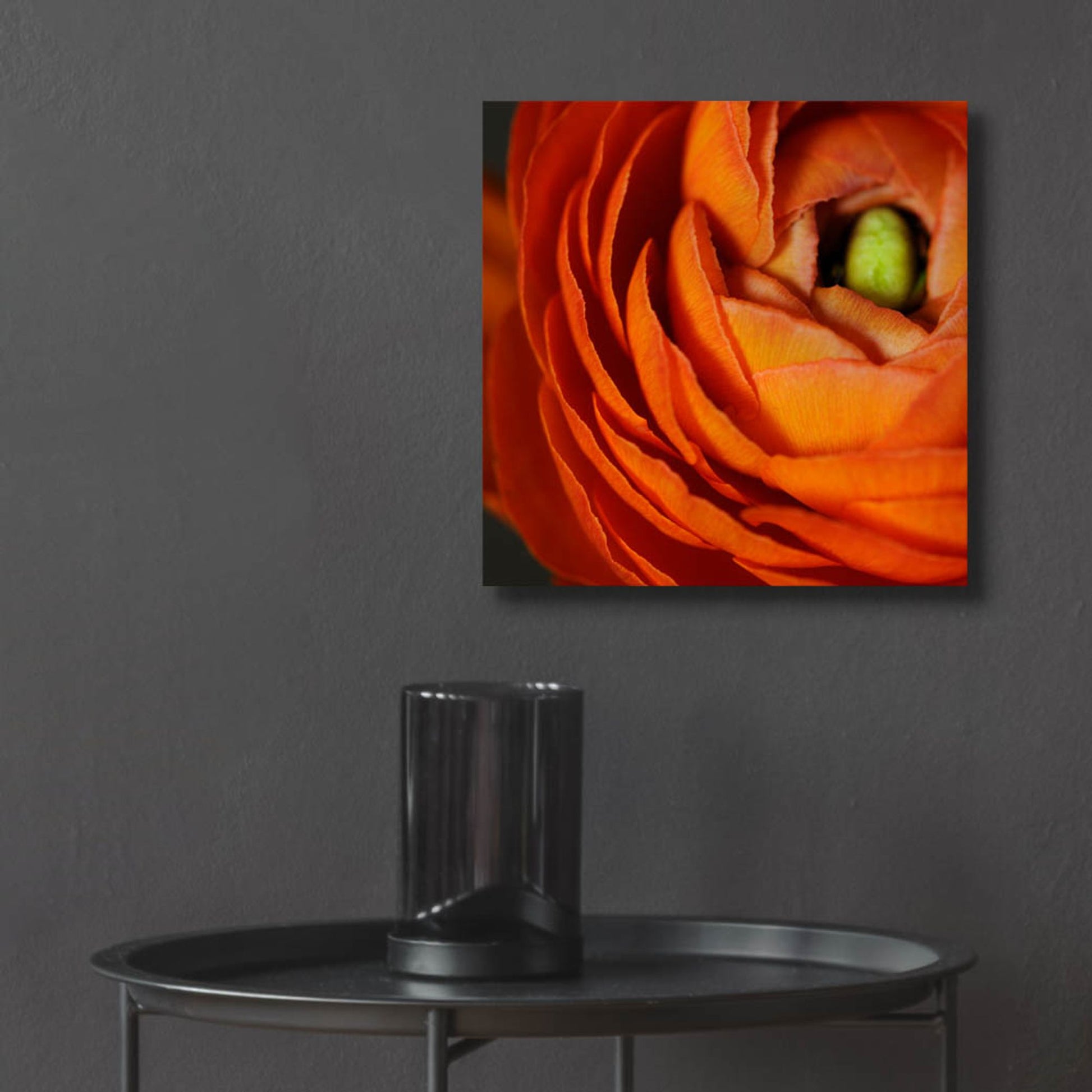 Epic Art 'Orange Flower Close up' by Tom Quartermaine, Acrylic Glass Wall Art,12x12