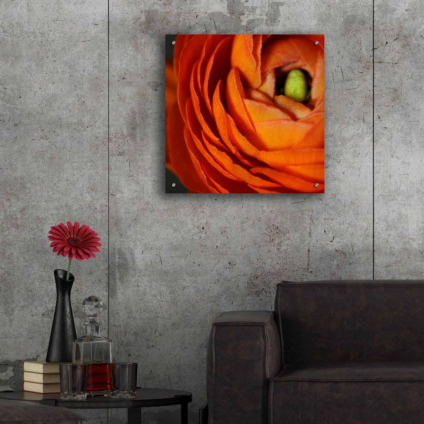 Epic Art 'Orange Flower Close up' by Tom Quartermaine, Acrylic Glass Wall Art,24x24