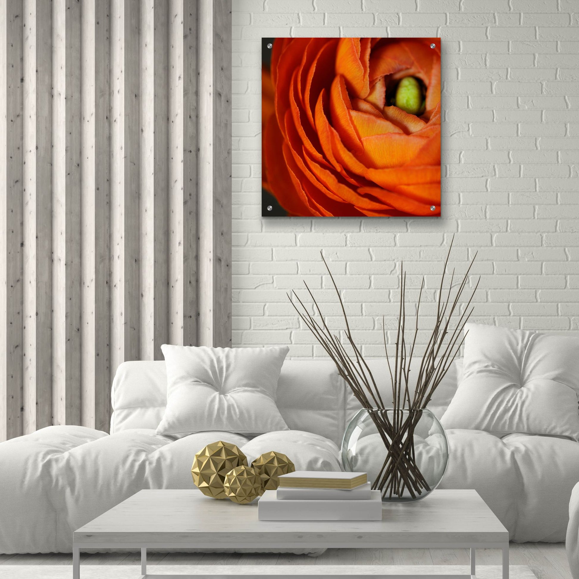 Epic Art 'Orange Flower Close up' by Tom Quartermaine, Acrylic Glass Wall Art,24x24