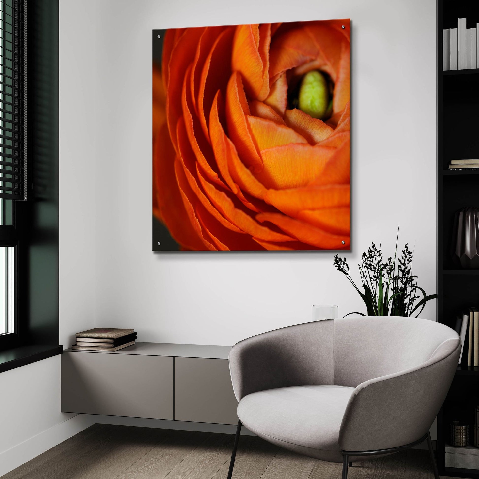 Epic Art 'Orange Flower Close up' by Tom Quartermaine, Acrylic Glass Wall Art,36x36