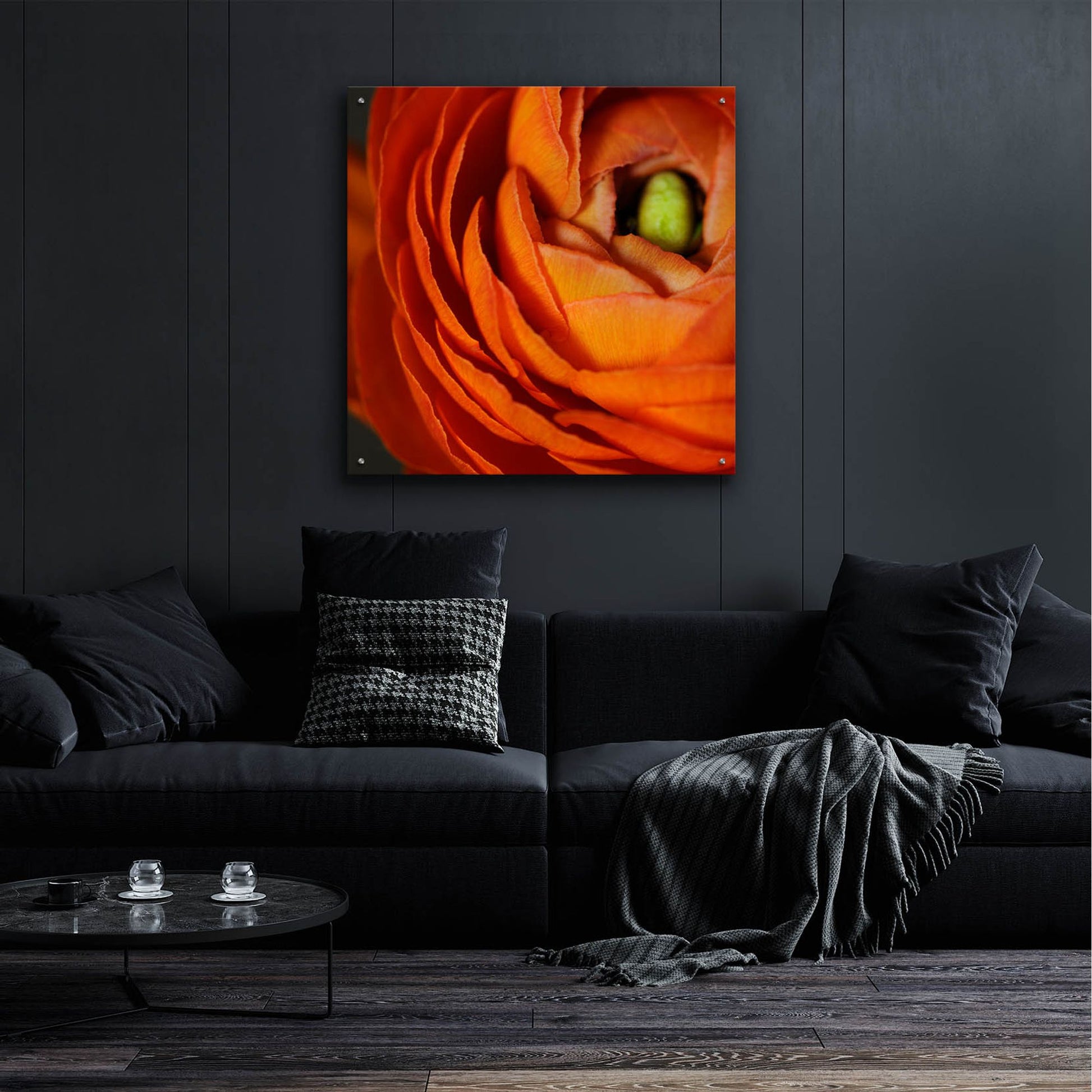 Epic Art 'Orange Flower Close up' by Tom Quartermaine, Acrylic Glass Wall Art,36x36