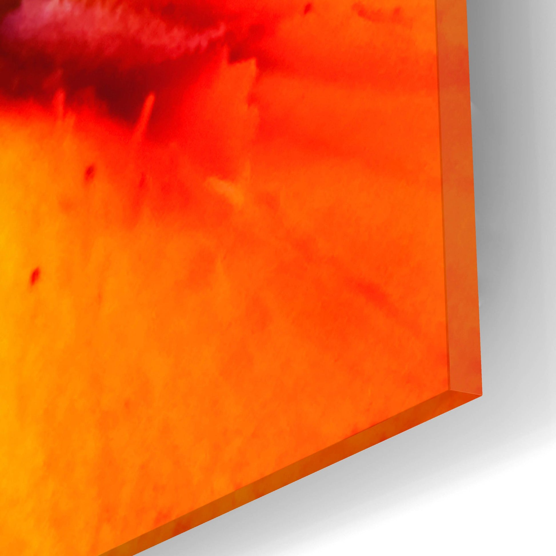 Epic Art 'Orange Flower on Black 02' by Tom Quartermaine, Acrylic Glass Wall Art,12x12