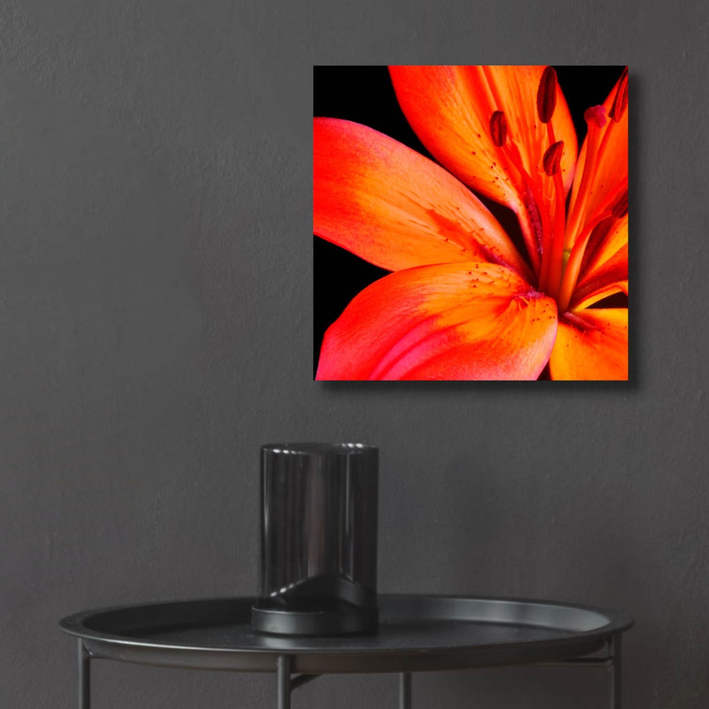 Epic Art 'Orange Flower on Black 02' by Tom Quartermaine, Acrylic Glass Wall Art,12x12