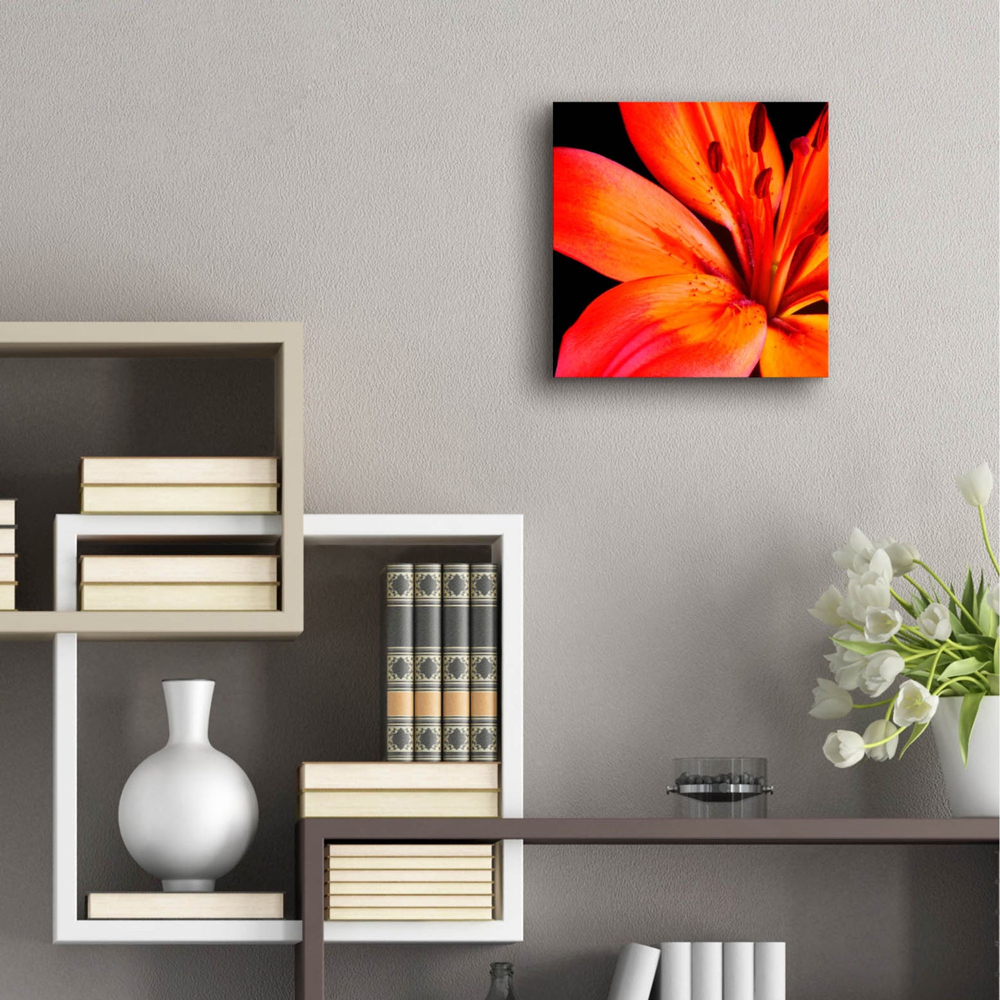 Epic Art 'Orange Flower on Black 02' by Tom Quartermaine, Acrylic Glass Wall Art,12x12