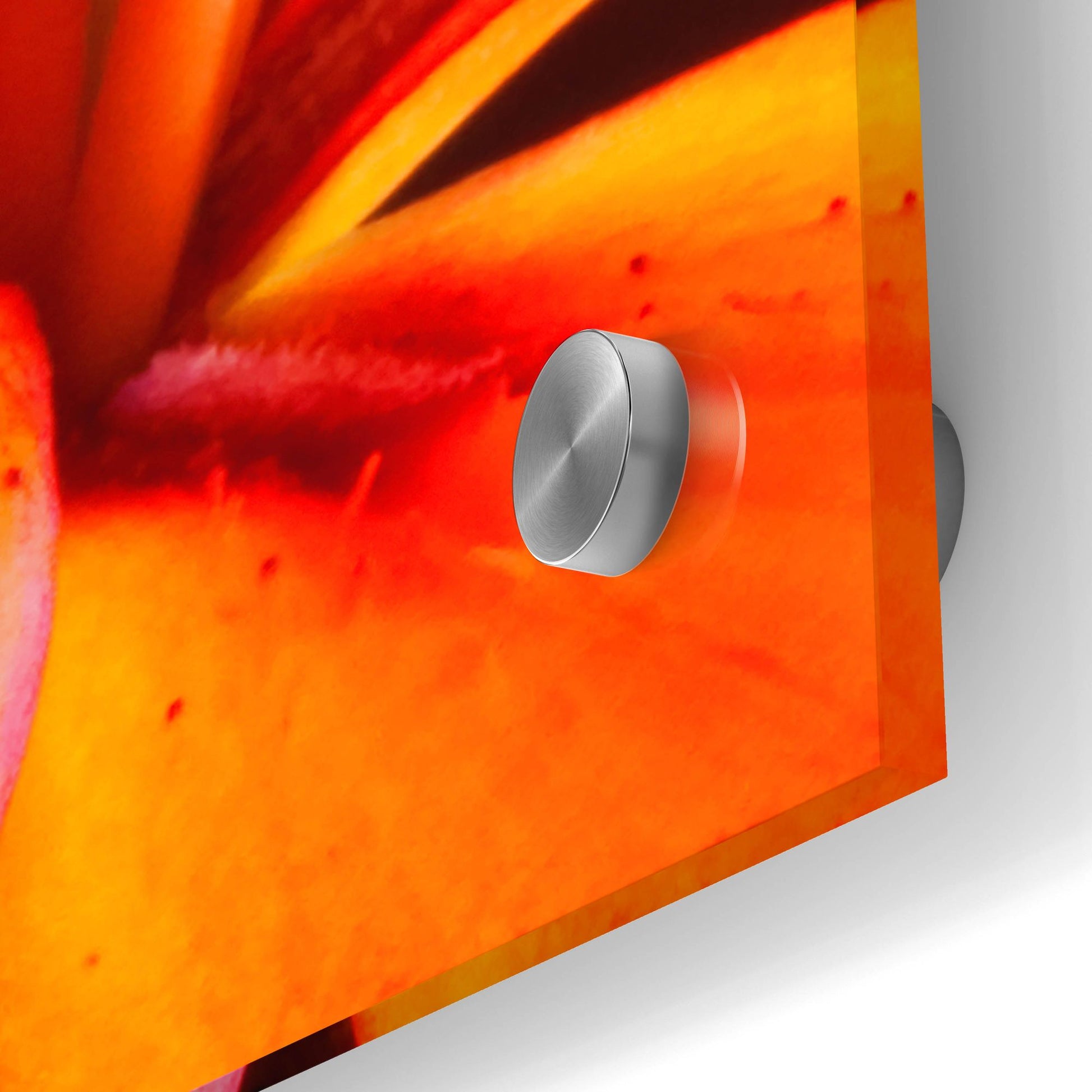 Epic Art 'Orange Flower on Black 02' by Tom Quartermaine, Acrylic Glass Wall Art,24x24