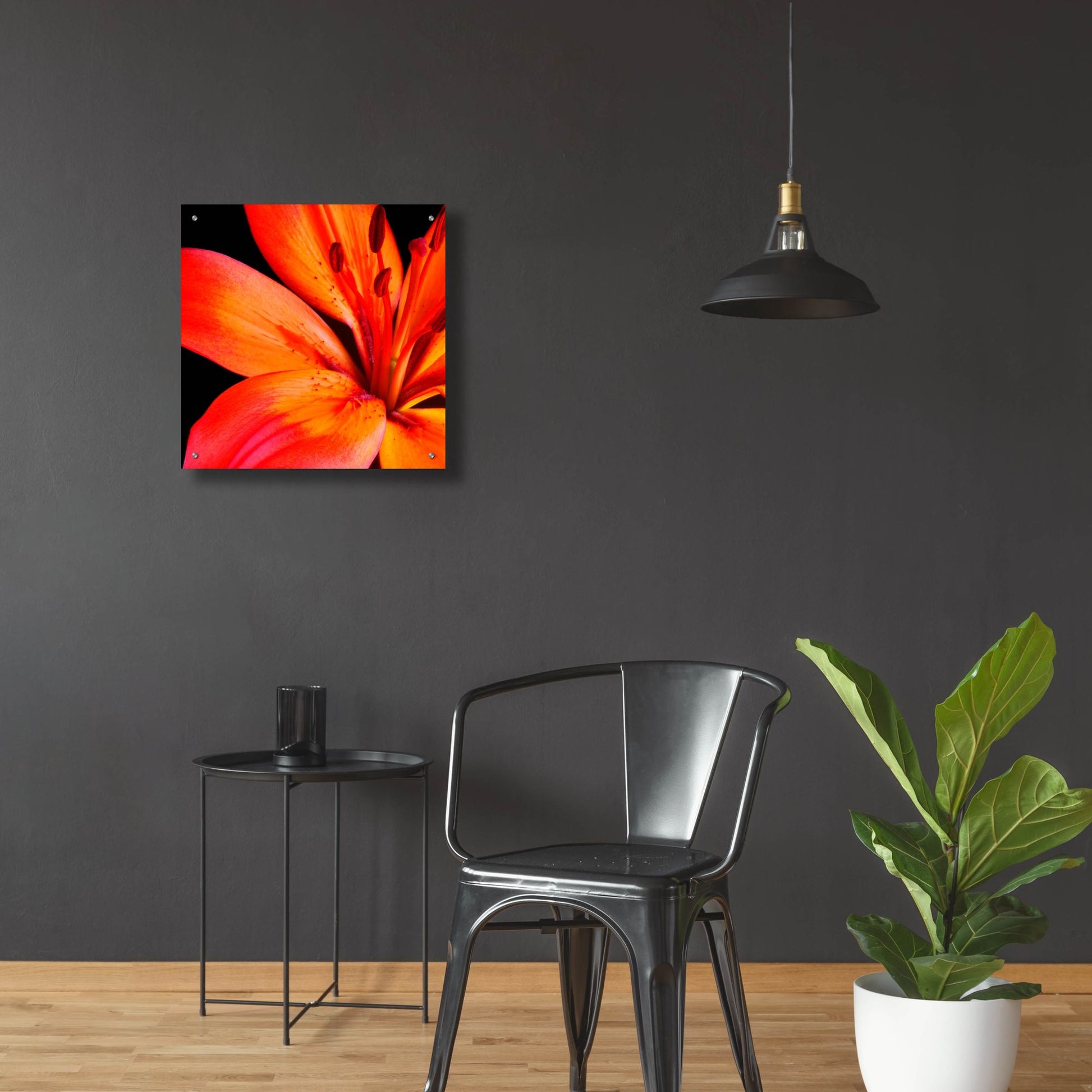 Epic Art 'Orange Flower on Black 02' by Tom Quartermaine, Acrylic Glass Wall Art,24x24