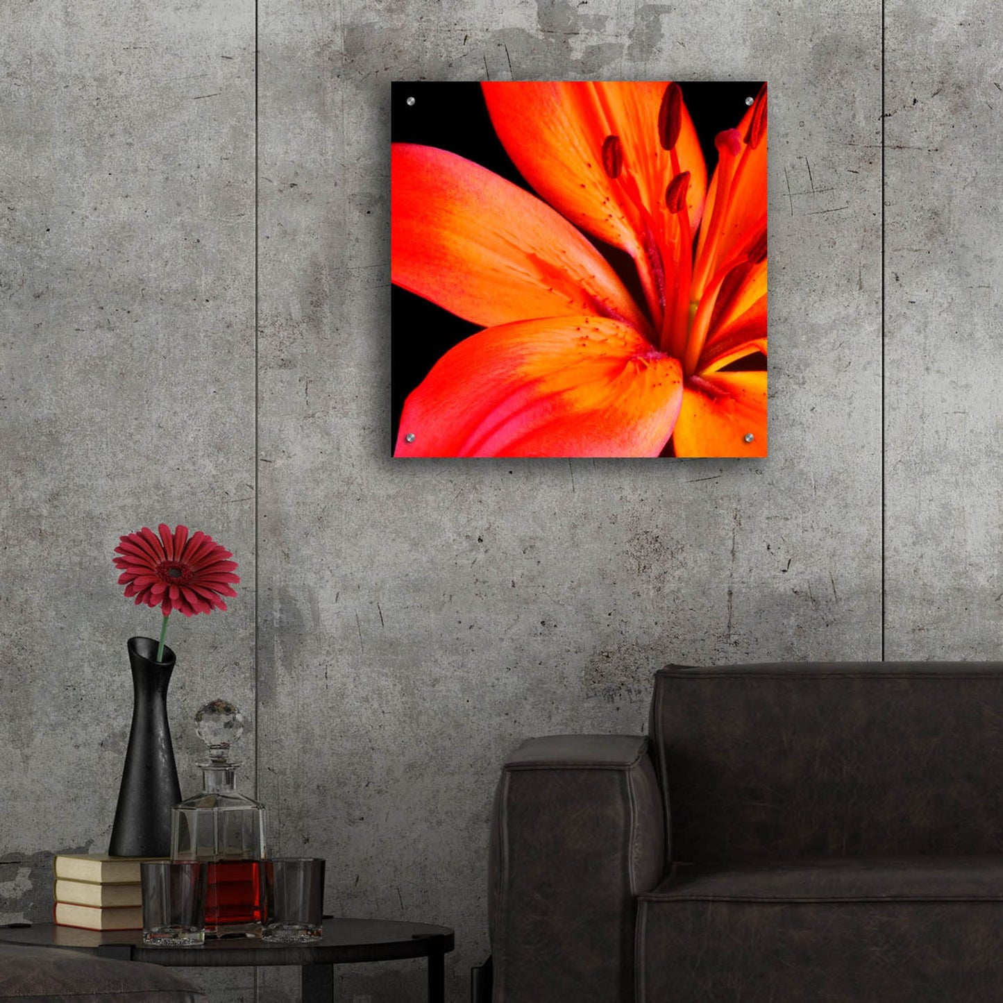 Epic Art 'Orange Flower on Black 02' by Tom Quartermaine, Acrylic Glass Wall Art,24x24